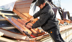 BESSEY_D331-22_D341-22/D341P_work_man_roofc75_3